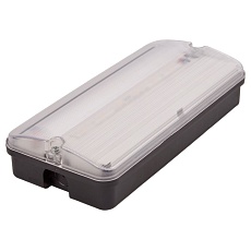 Светильник пылевлагозащищенный Uniel ULW-K25B 6W/4000K/EMG IP65 BLACK 4