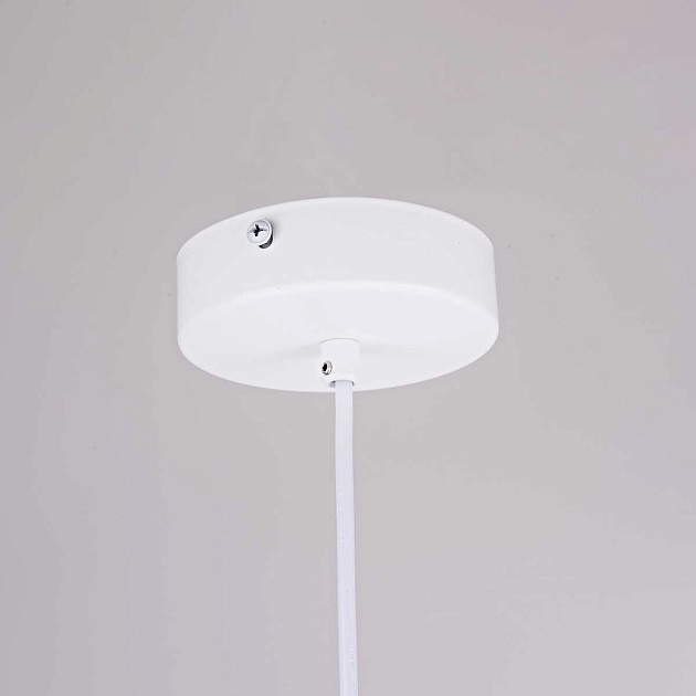 Подвесной светильник Imperium Loft Sota 178033-26 Фото № 7