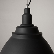 Подвесной светильник Maytoni Bellevue P535PL-01B 4