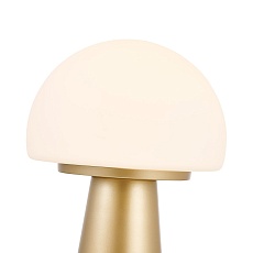 Настольная лампа Favourite Hongo 4450-1T 4