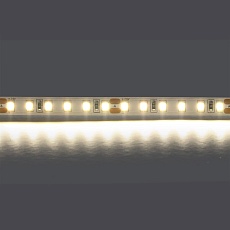 Светодиодная лента Lightstar 12W/m 120LED/m дневной белый 5M 420804 1