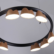 Подвесная светодиодная люстра Favourite Interline 4266-21P 2