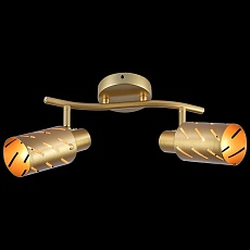 Спот Reluce 05970-0.8-02 GOLD 3