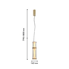 Подвесной светодиодный светильник Favourite Bones 4244-2P 1