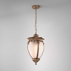 Уличный подвесной светильник Elektrostandard Andromeda H (GLYF-8024H) a027997 2