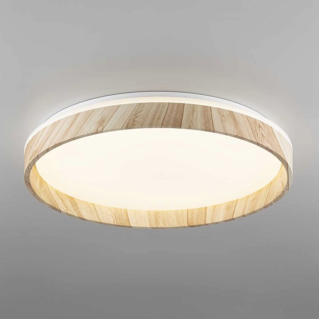 Потолочный светодиодный светильник Citilux Enzo CL753452G Фото № 5