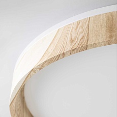 Потолочный светодиодный светильник Citilux Enzo CL753452G 3