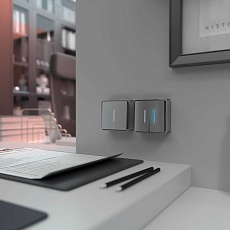 Выключатель двухклавишный с подсветкой Werkel Gallant серебряный W5020106 4690389167119 1