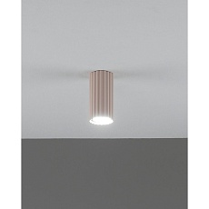 Настенно-потолочный светильник Moderli Cora V11889-1C 5