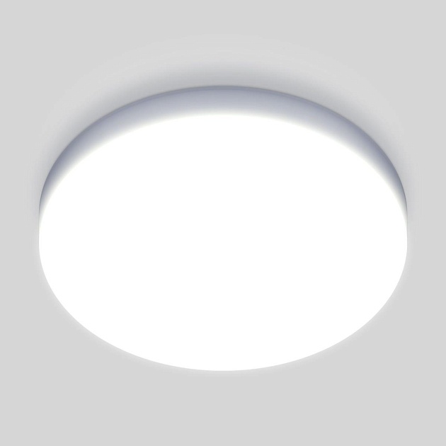 Потолочный светодиодный светильник Elektrostandard DLR043 10W 4200K a047940 Фото № 1