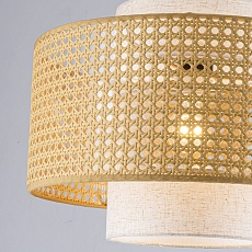 Торшер Favourite Organicum 4768-1F 1