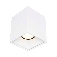 Накладной светильник ST LUCE ST168.502.01