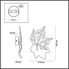 Настенный светодиодный светильник Odeon Light Eva 4371/6WL 4