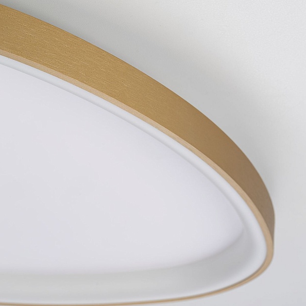 Потолочный светодиодный светильник Citilux Genka Smart CL756A162 Фото № 6