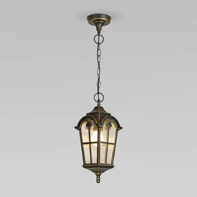 Уличный подвесной светильник Elektrostandard Mira a025299 изображение 1 Уличный подвесной светильник Elektrostandard Mira a025299 Фото № 1