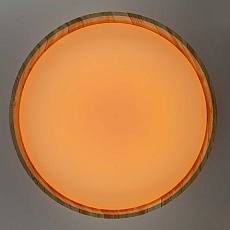 Потолочный светодиодный светильник Citilux Enzo CL753452G 5