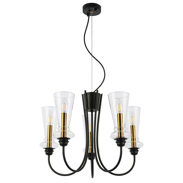 Подвесная люстра Evoluce Rammo SLE112403-05 Фото № 1