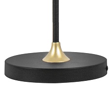 Торшер Lightstar Acrile 738773 1