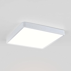 Потолочный светодиодный светильник Elektrostandard DLS034 24W 4200K a043018