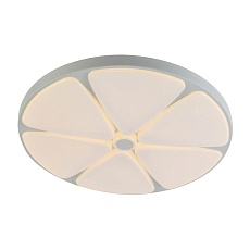 Потолочный светодиодный светильник Profit Light 2169/450 WH+CR RGB 1