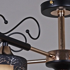 Потолочная люстра Reluce 52138-0.3-05 1