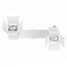 Спот Citilux Рубик CL526520S 4