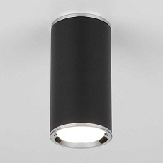 Потолочный светильник Elektrostandard DLN101 GU10 BK черный a043971