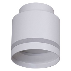 Потолочный светильник Reluce 53001-9.5-001IL GX53+LED3W WT
