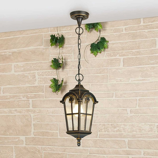 Уличный подвесной светильник Elektrostandard Mira a025299 изображение 2 Уличный подвесной светильник Elektrostandard Mira a025299 Фото № 2