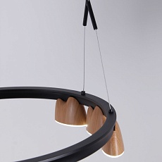 Подвесная светодиодная люстра Favourite Interline 4266-21P 5