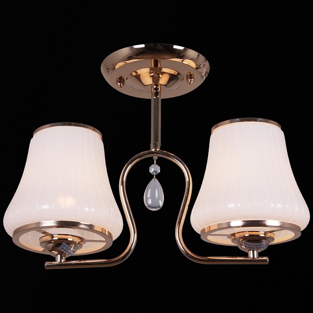 Потолочный светильник Reluce 31361-0.3-02 Фото № 1