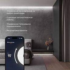 Контроллер для светодиодных лент MIX Elektrostandard (Умный дом) 95003/00 a055255 4