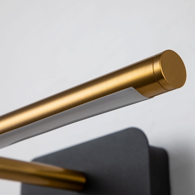 Подсветка для картин Favourite Insight 4016-1W Фото № 7