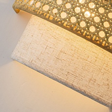 Настенный светильник Favourite Organicum 4768-1W 4