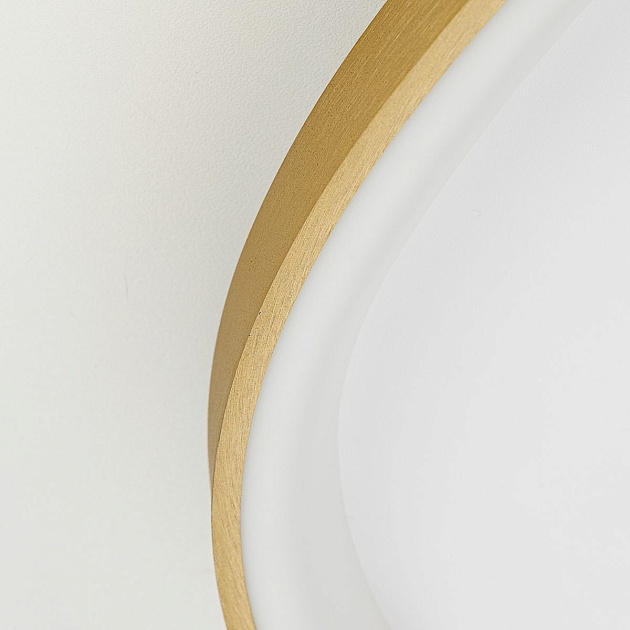 Потолочный светодиодный светильник Citilux Genka Smart CL756A162 Фото № 4