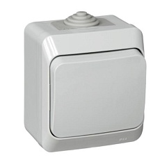 Выключатель одноклавишный Systeme Electric Этюд 10A 250V серый BA10-041C