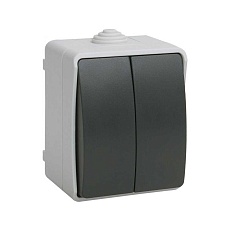 Выключатель двухклавишный IEK Fors серый EVS20-K03-10-54-DC
