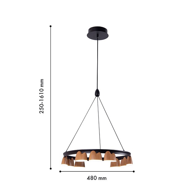 Подвесная светодиодная люстра Favourite Interline 4266-9P Фото № 2