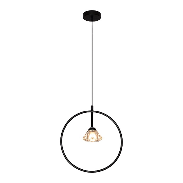 Подвесной светильник Gerhort G49902/1BK Фото № 2