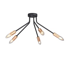 Потолочная люстра Vitaluce V3020-1/5PL 1