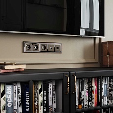 Накладка Werkel для TV розетки оконечной бронзовый W1193012 4690389161810 1