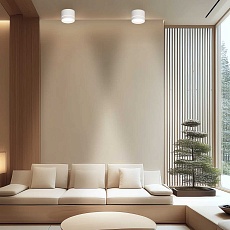 Потолочный светильник Apeyron Ray 16-120 1