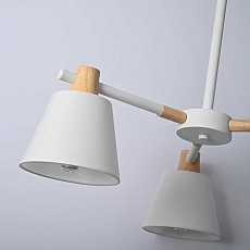 Подвесная люстра Imperium Loft Natura 101826-26 1