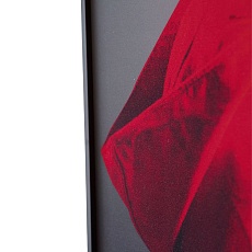 Картина Lumina Deco FP Red Hat 50-70 4