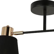 Спот Illumico IL6116-2COU-79 BK GD 1