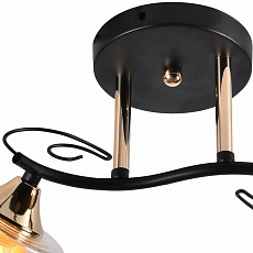 Потолочный светильник Reluce 01295-0.3-02 BK+FGD 1