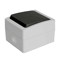 Выключатель одноклавишный Stekker Велена серый-графит PSW10-111-54 32752 3