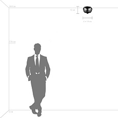 Потолочный светильник Lightstar Celesta 809000 3