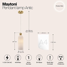Подвесной светильник Maytoni Antic MOD302PL-01W 1