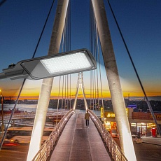 Светильник уличный светодиодный ЭРА SPP-504-0-50K-100 100Вт 5000К IP65 КСС Д Б0062724 2